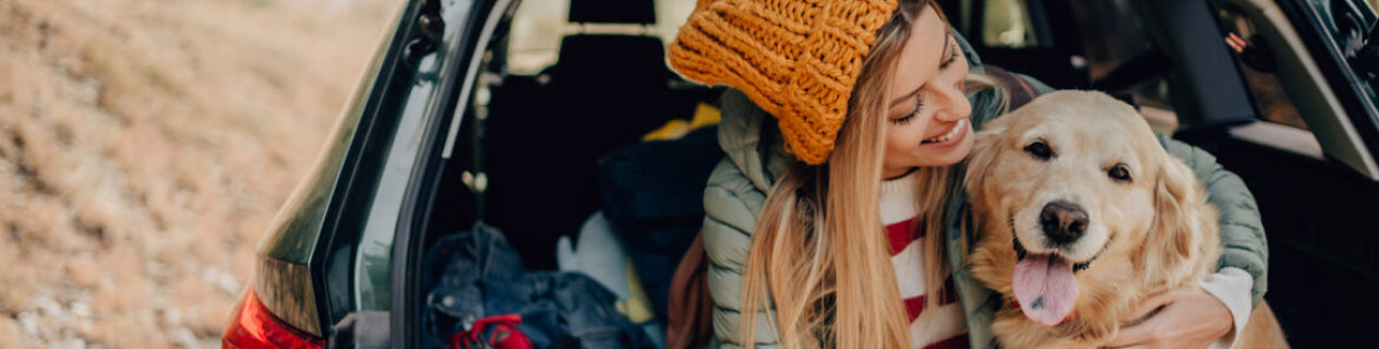 Vlooien in huis: tips voor gezond leven met huisdieren